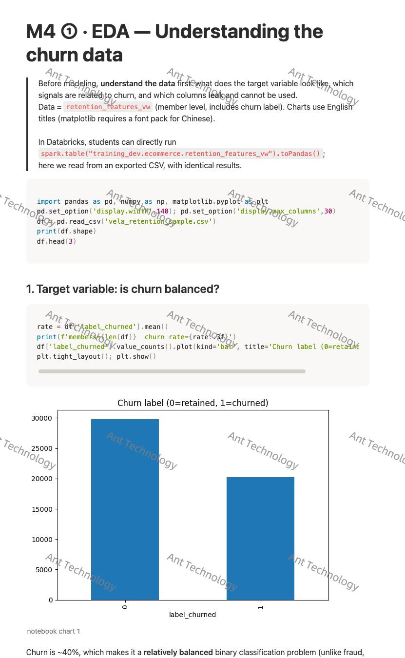 M4 · Churn model & performance — screenshot 1 of 1